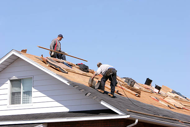 Best Roof Coating and Sealing  in Louisville, NE